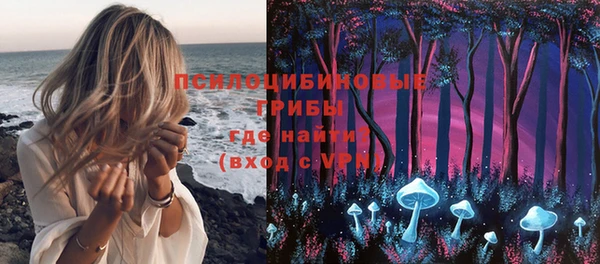 дмт Баксан