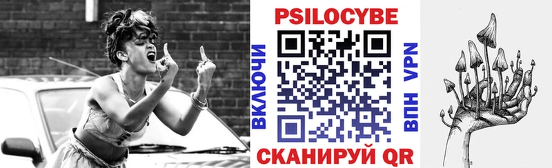 Псилоцибиновые грибы Psilocybe  Новотроицк 